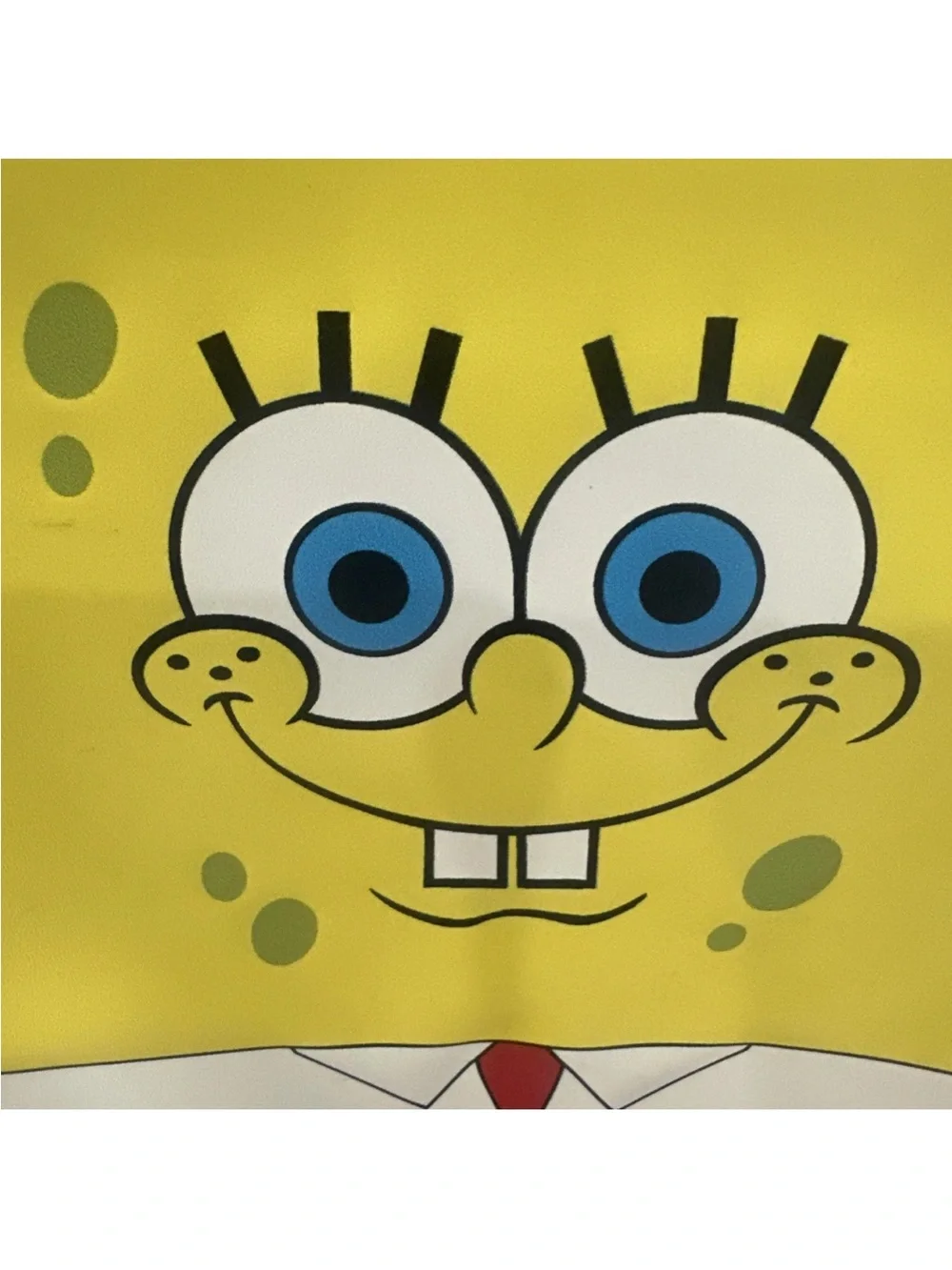 Nickelodeon SpongeBob Dual Compartment Lunch Box Bag 9”